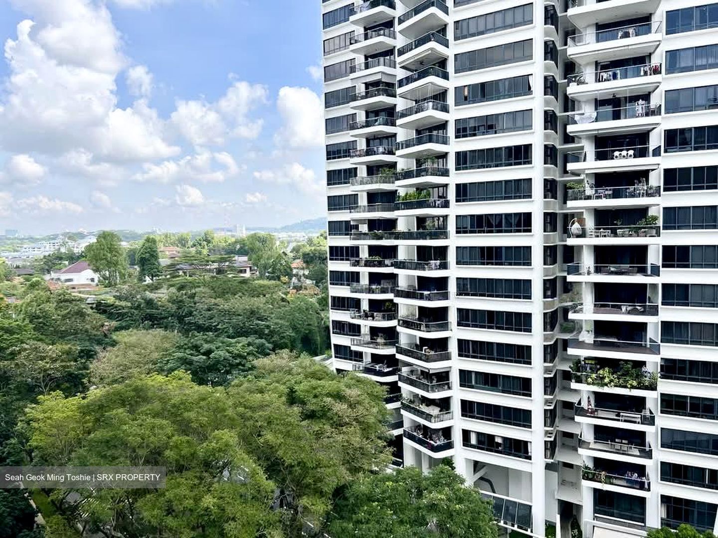 Leedon Residence (D10), Condominium #553866451